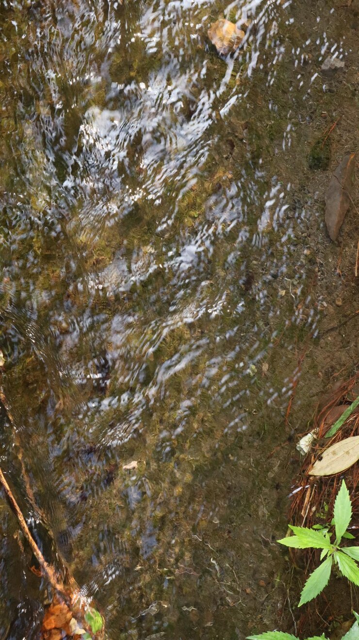 claros flujos de agua de fuente en el fondo