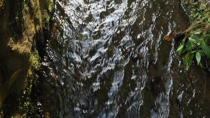claros flujos de agua de fuente en el fondo