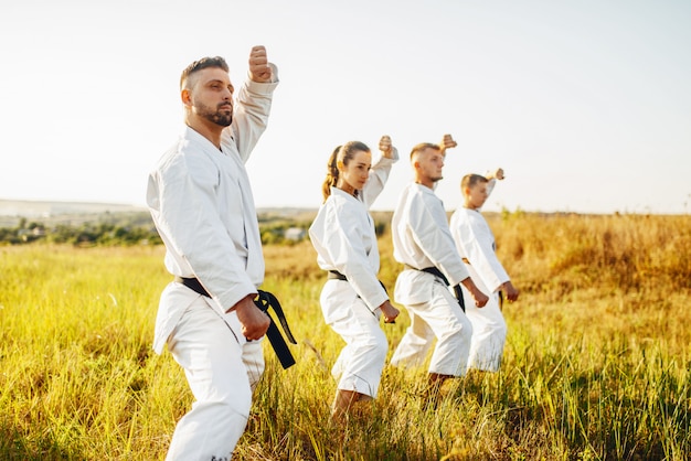 Clase de karate trabaja en el stand, entrenamiento en campo