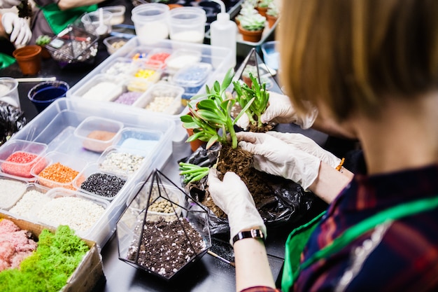 Una clase magistral en la plantación de cactus y sukkulentov en forma de vidrio