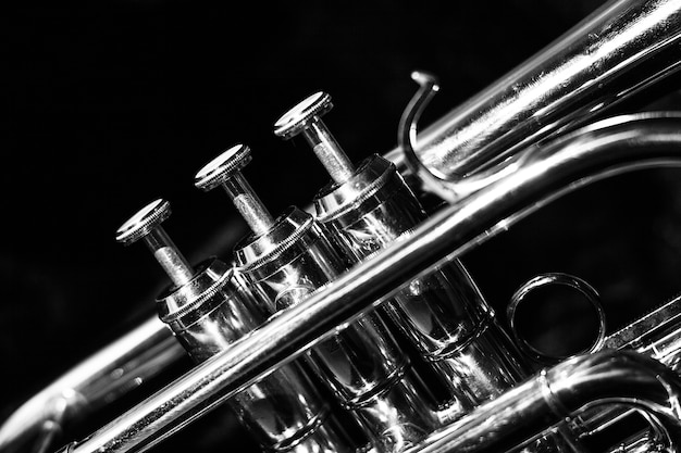 Foto clásico cornet musical de blanco y negro.