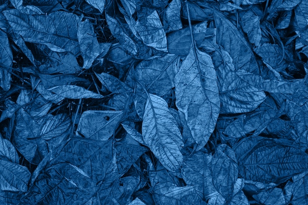 Clásico monocromo azul oscuro arte floral foto floral con pequeñas hojas secas