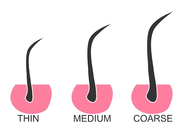 Classificação dos tipos de espessura do cabelo