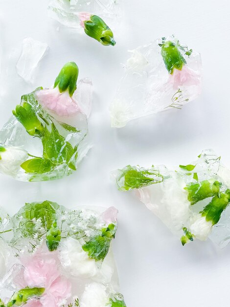 Foto claveles rosados y blancos con hojas de pedazos de hielo