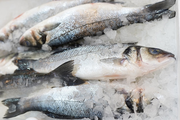 Clese up de pescado congelado en la estantería del supermercado