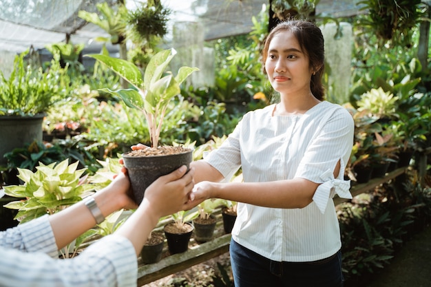 Cliente comprando algunas plantas