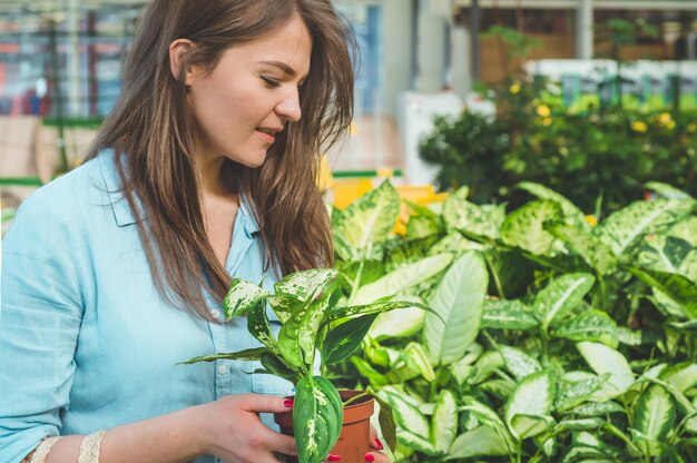 Cliente de linda garota escolhe plantas ficus na loja de varejo. Jardinagem Na Estufa. Jardim botânico, cultivo de flores, conceito de indústria hortícola