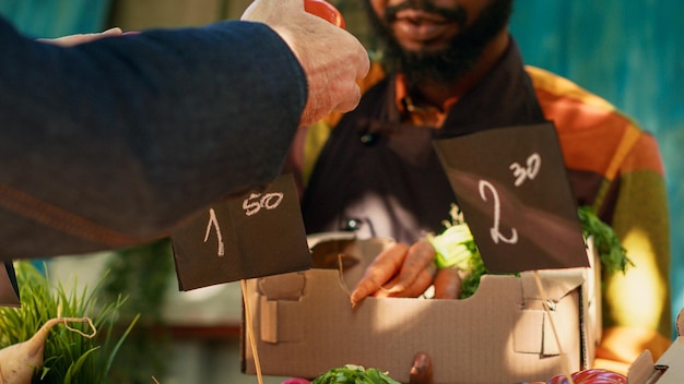 Cliente escolhendo frutas e vegetais coloridos e biológicos