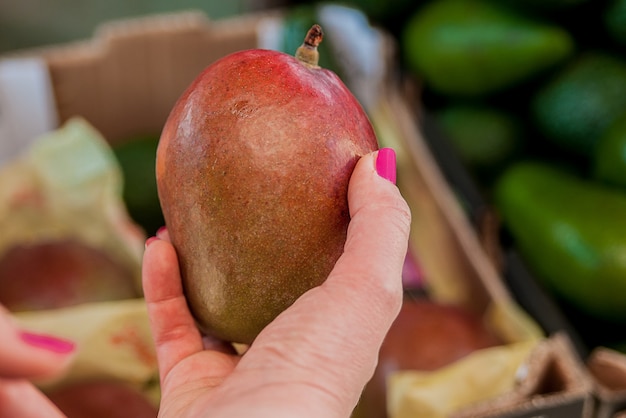 Cliente joven feliz que elige la fruta madura del mango en mercado. Mujer recogiendo, eligiendo frutas, mango. Niña con frutas de mango en el supermercado. Mango bueno para la piel, concepto