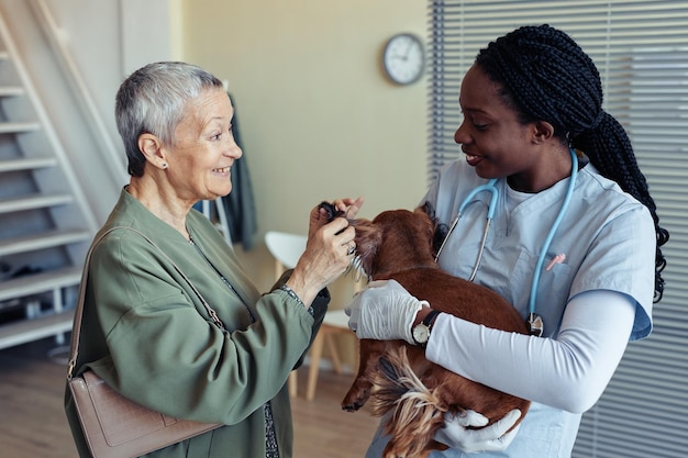 Cliente Sênior na Clínica Veterinária