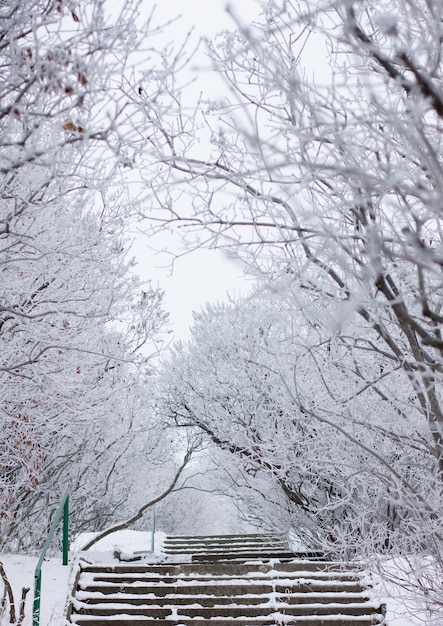 clima de inverno