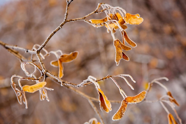 clima de inverno