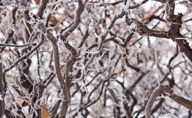 clima de inverno