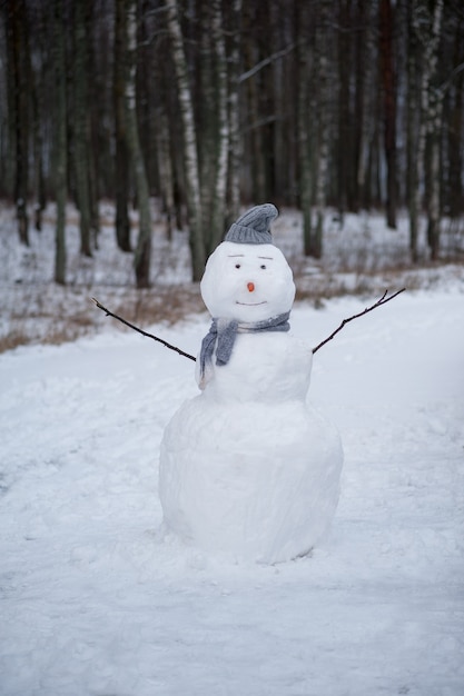 Clima de invierno con nieve