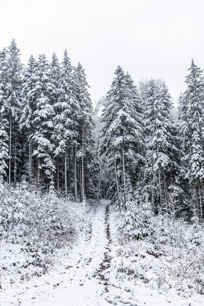 Clima nevado en las montañas