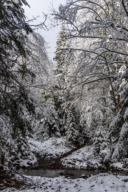 Clima nevado en las montañas