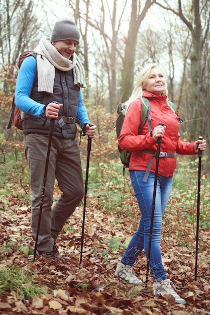 Clima perfecto para practicar senderismo en el bosque.