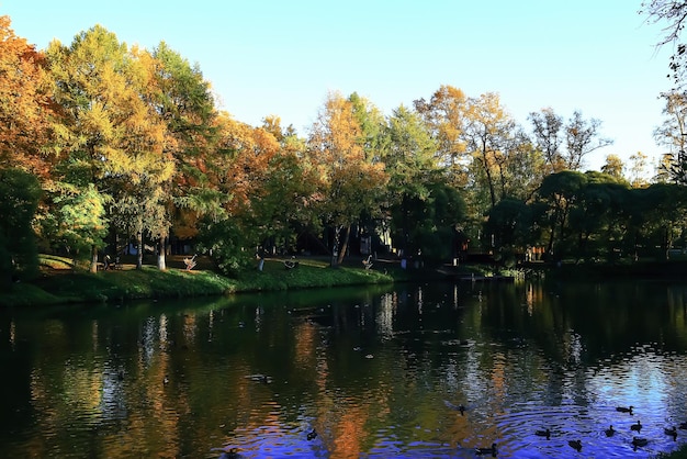 Clima soleado en el parque de otoño