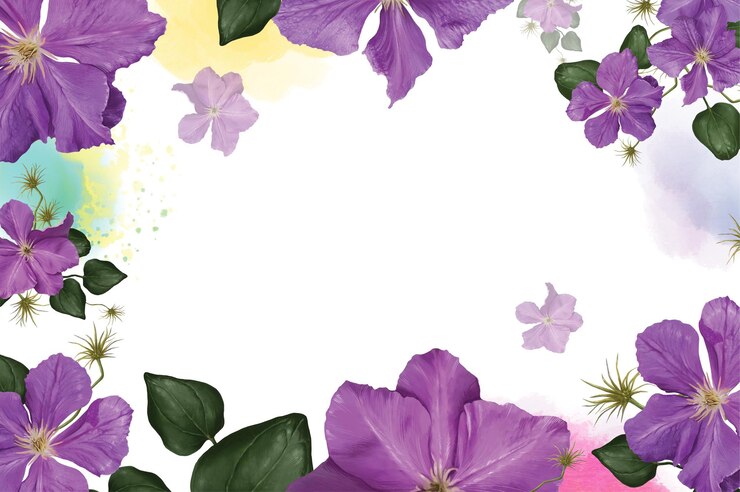 Foto climatis flores púrpura closeupon el fondo de las manchas de acuarela