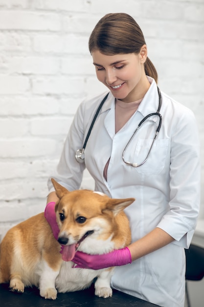 Clínica veterinária. Médica veterinária sorridente com um cachorro fofo em uma clínica