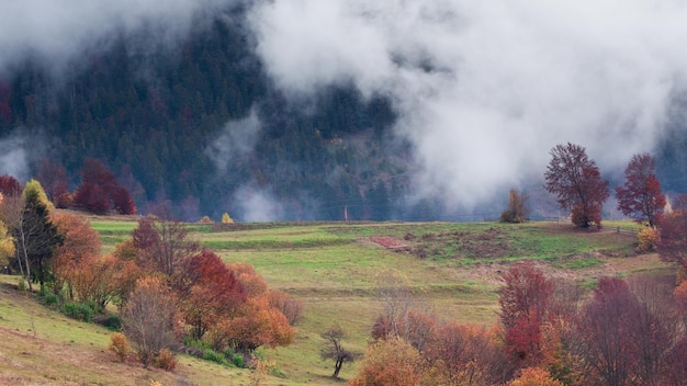 Clip de lapso de tiempo Fantástico colorido paisaje de montaña con nubes Ucrania Cárpatos