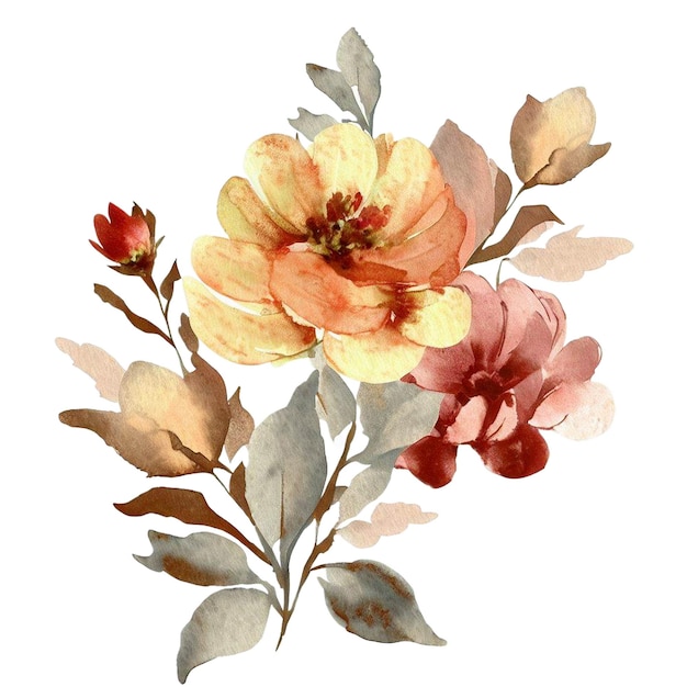 Clipart de aquarela elegante para projetos criativos