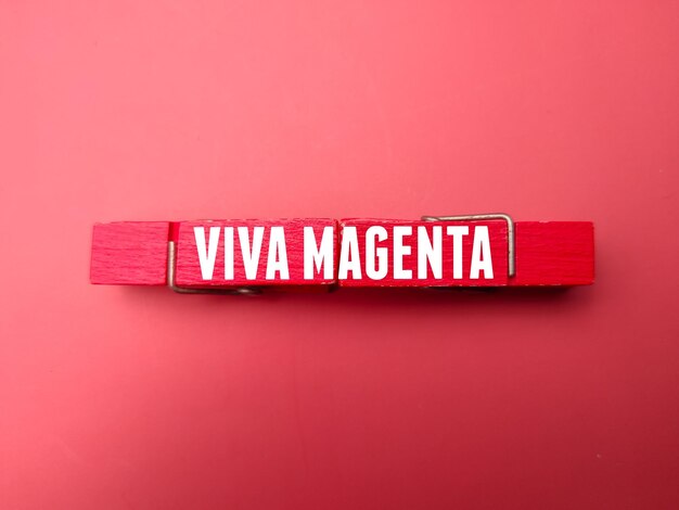 Clips de madera de colores con la palabra VIVA MAGENTA