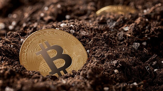 Close com mineração de criptomoeda Bitcoin em terreno natural