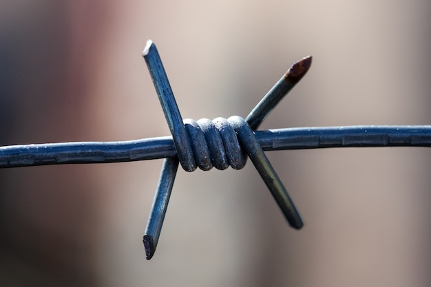 Foto close da coluna vertebral. arame farpado de metal