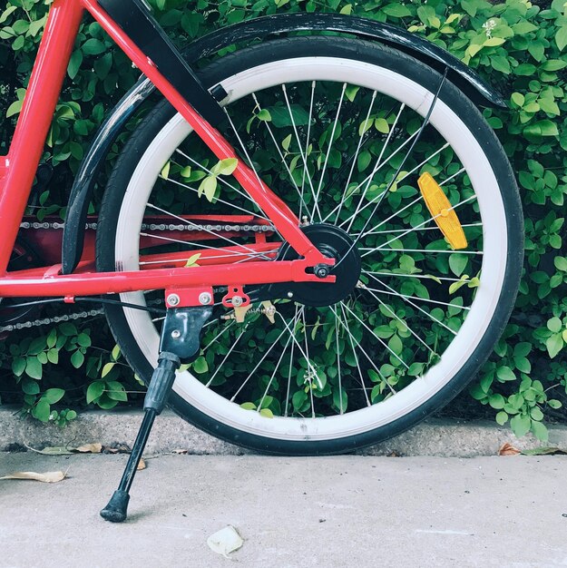 Foto close da roda de bicicleta