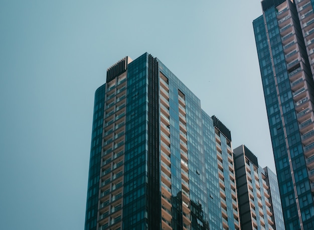 Close de edifícios vivos modernos