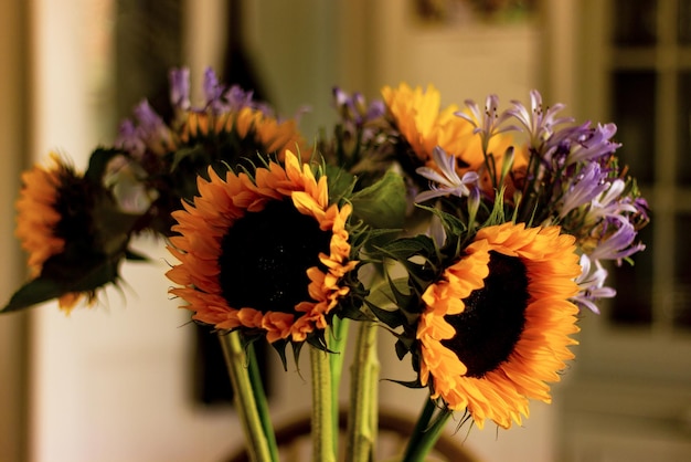 Close de um buquê de girassóis e flores roxas em um vaso em uma sala