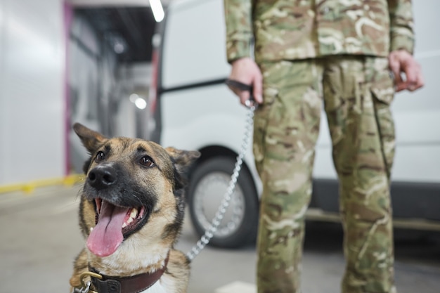 Close de um cachorro militar sentado ao fundo com o dono