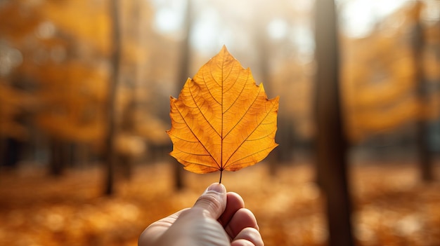 Close de uma mão segurando uma folha brilhante contra o fundo de árvores de outono geradas por IA
