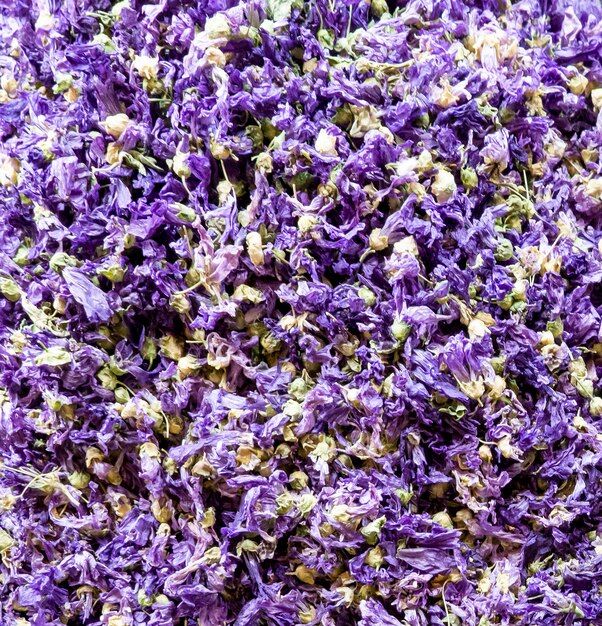 Close do chá de lavanda no mercado em istambul, turquia