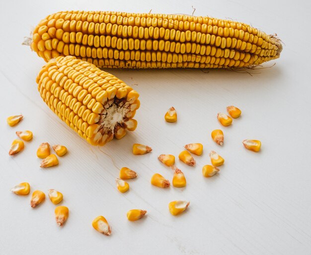 Foto close do milho, um pedaço e sementes