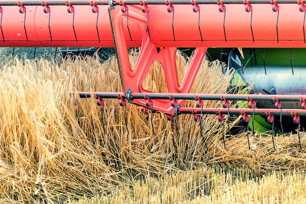 Close up Combine a colheita de um campo de trigo. Combine o trabalho no campo.
