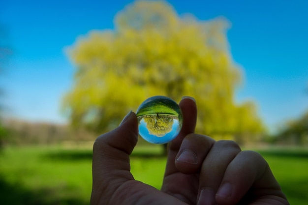 Foto close-up cortado de mão segurando bola de cristal com reflexo de árvore contra o céu azul claro