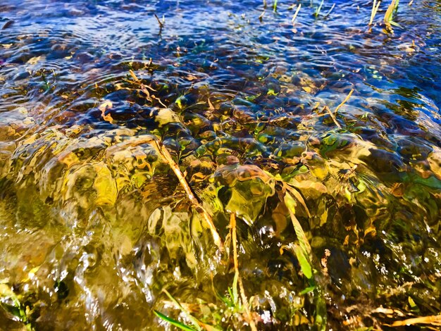 Close-up da água ondulada no lago