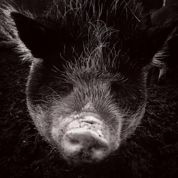 Foto close-up da árvore à noite
