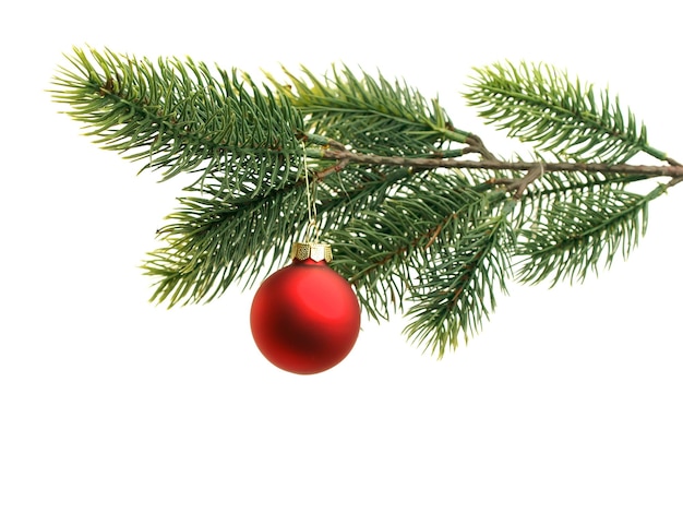 Close-up da árvore de Natal contra fundo branco