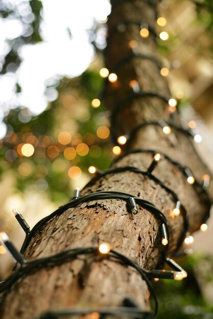 Foto close-up da árvore de natal iluminada