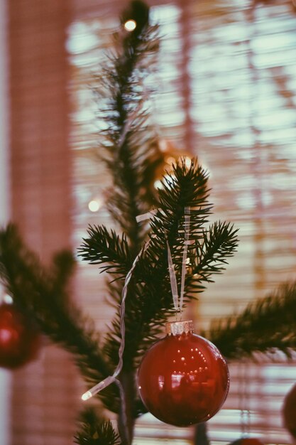 Foto close-up da árvore de natal