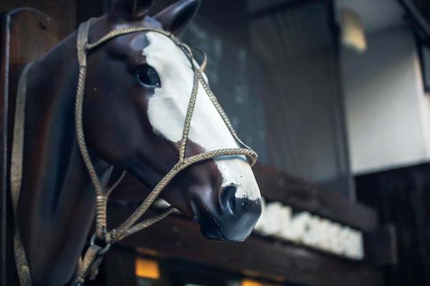 Foto close-up da cabeça do cavalo