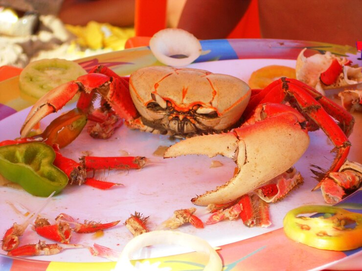 Foto close-up da comida na mesa