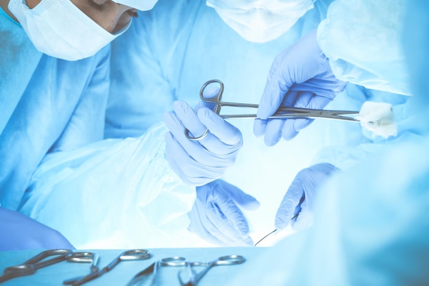 Close-up da equipe médica realizando operação. Grupo de cirurgiões no trabalho está ocupado com o paciente. Medicina, veterinária ou de saúde e emergência hospitalar.