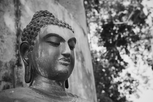 Close-up da estátua contra um fundo desfocado