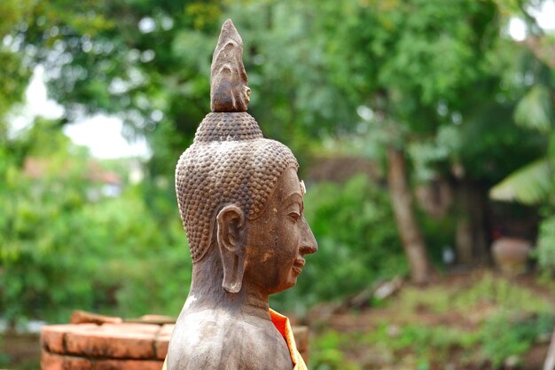 Foto close-up da estátua de buda contra as árvores