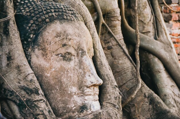 Close-up da estátua de Buda