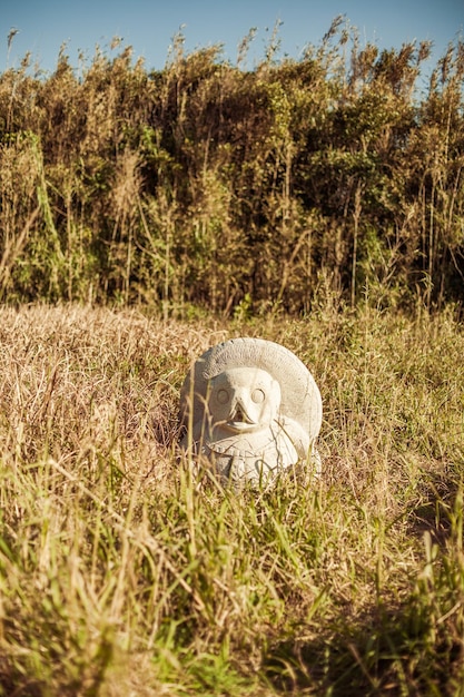 Foto close-up da estátua no campo